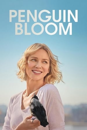 Nonton Film Penguin Bloom (2021) Terbaru Nonton Film Penguin Bloom (2021) Terbaru