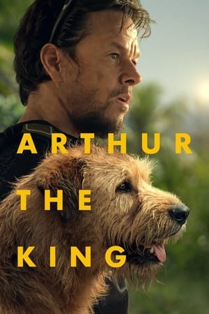 Nonton Film Arthur the King (2024) Terbaru Nonton Film Arthur the King (2024) Terbaru